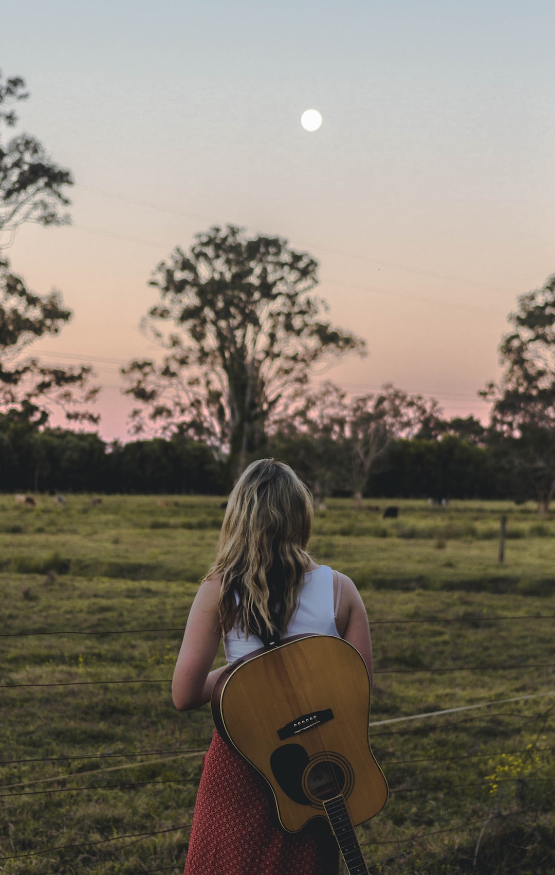 yamaha acoustic guitar Guitar Brands