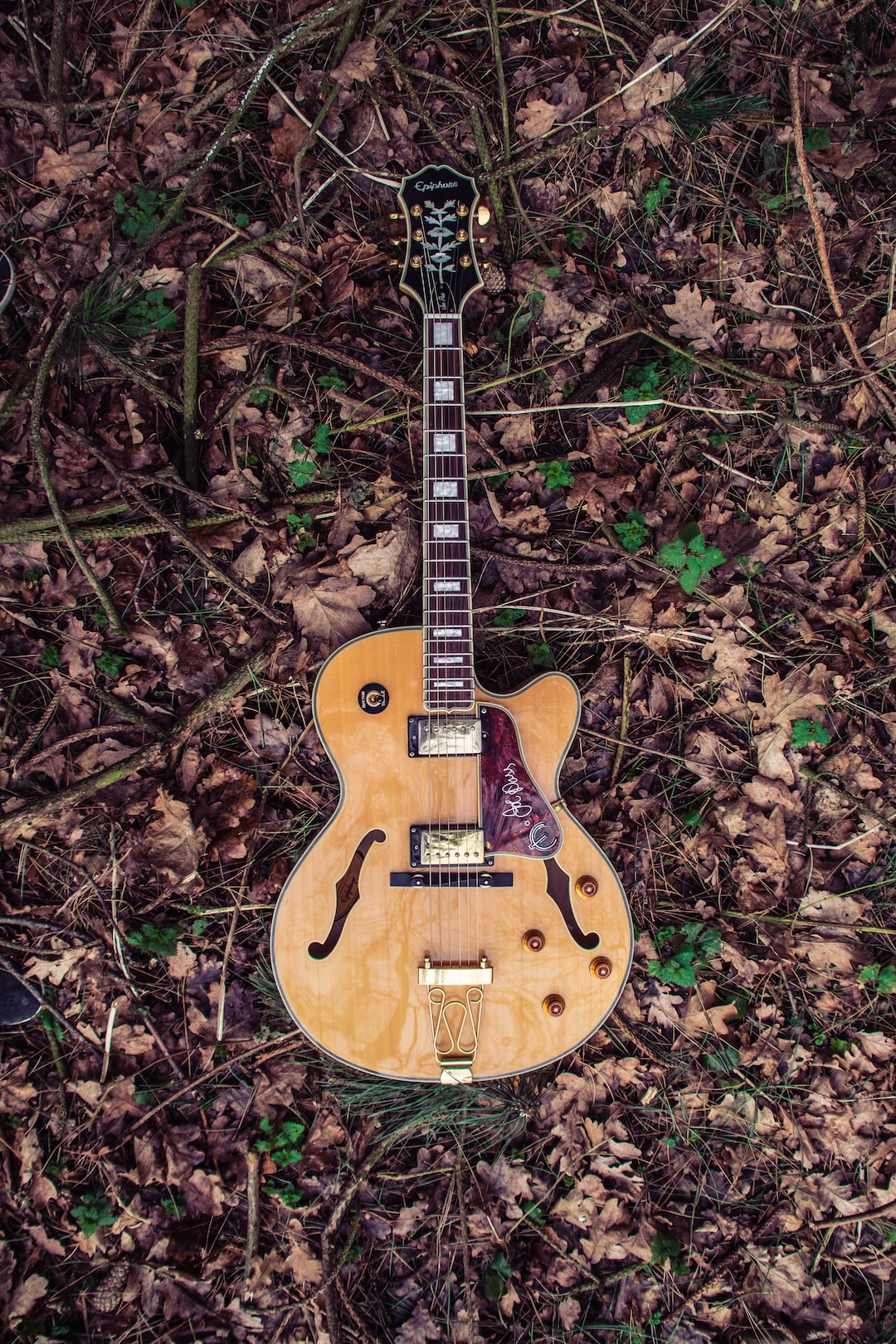 Was shooting my guitar in a forest for a school project. Was trying all sorts of positions and angels and just laying down the guitar on the ground made the beauty of this instrument just pop out. I like how the details of the guitar just fit into nature and how nature gives back to music.