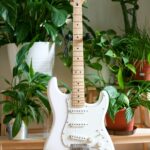 electric guitar next to plants