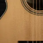 Featured image for 7 Sustainable Guitar Brands Eco Practices You Need to Know 2025
