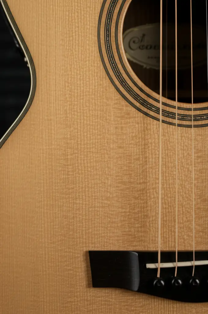 Featured image for 7 Sustainable Guitar Brands Eco Practices You Need to Know 2025