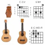 Featured image for 7 Essential Ukulele Chords for Beginners You Must Know 2026